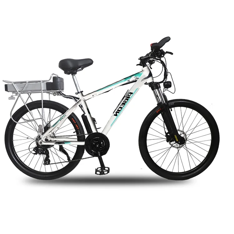 

48V Mountain City Electric Bike for Adult Electric Bike, Blue