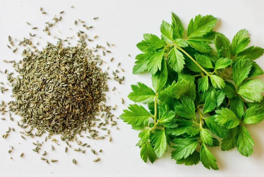 Close-up of fresh mint leaves and crushed dried oregano