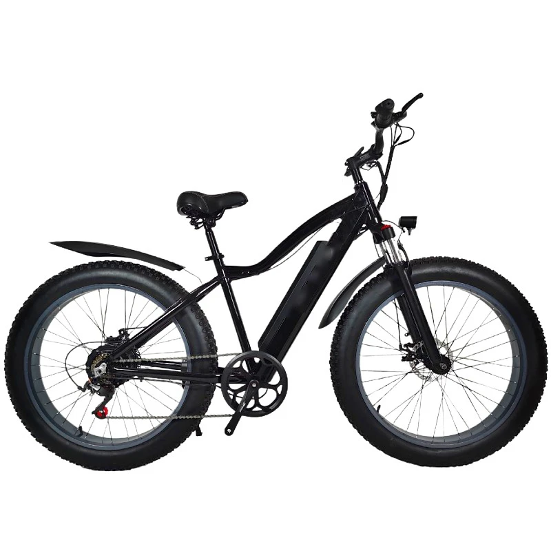 

2021 hot sale adult electric mountain bike, resistive snow bike