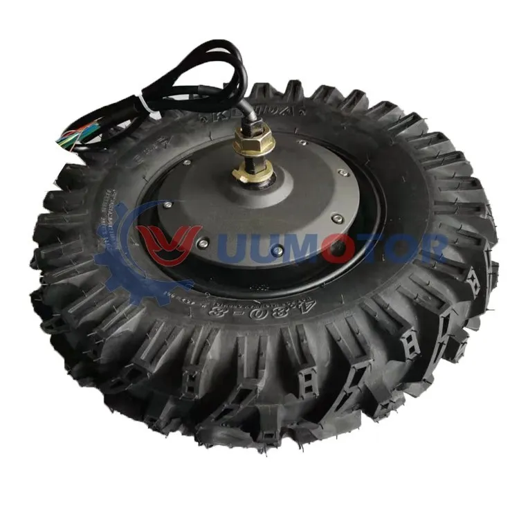 

M 120N.m high torque 17 inch 1000w agriculture robot servo hub motor with encoder, Black