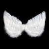 White goose feather angel type wing