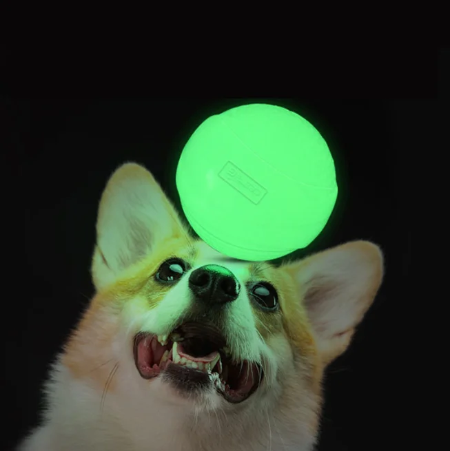 

New Arrival Durable TPR Glow-in-the-dark Interactive Squeaky Light Weight Dog Ball Toy