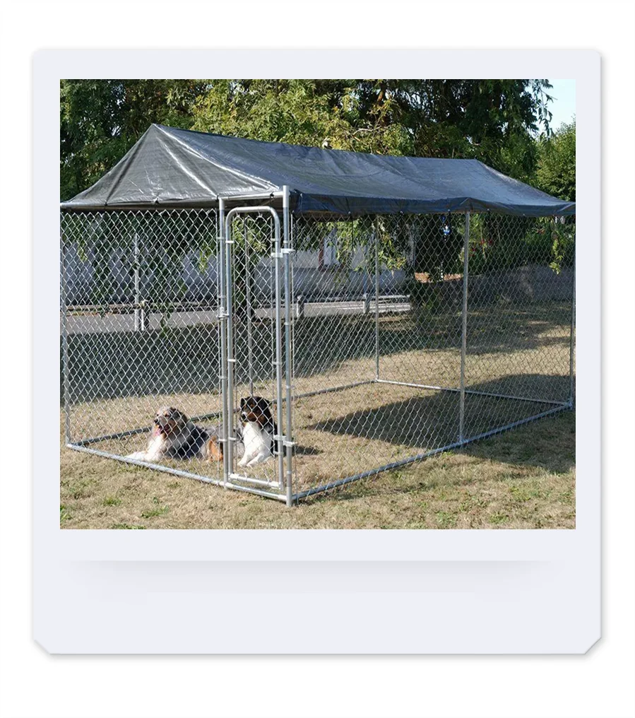 Outdoor galvanized cyclone wire mesh dog kennels, 6ft dog friendly cage house playpen
