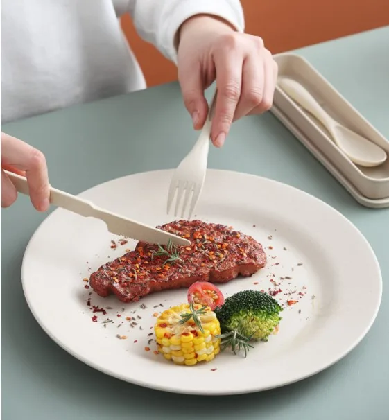 

Travel Portable Wheat Straw Spoon Fork Knife Cutlery Set Eco Friendly Wheat Fiber Flatware Sets, Beige/pink/blue/green