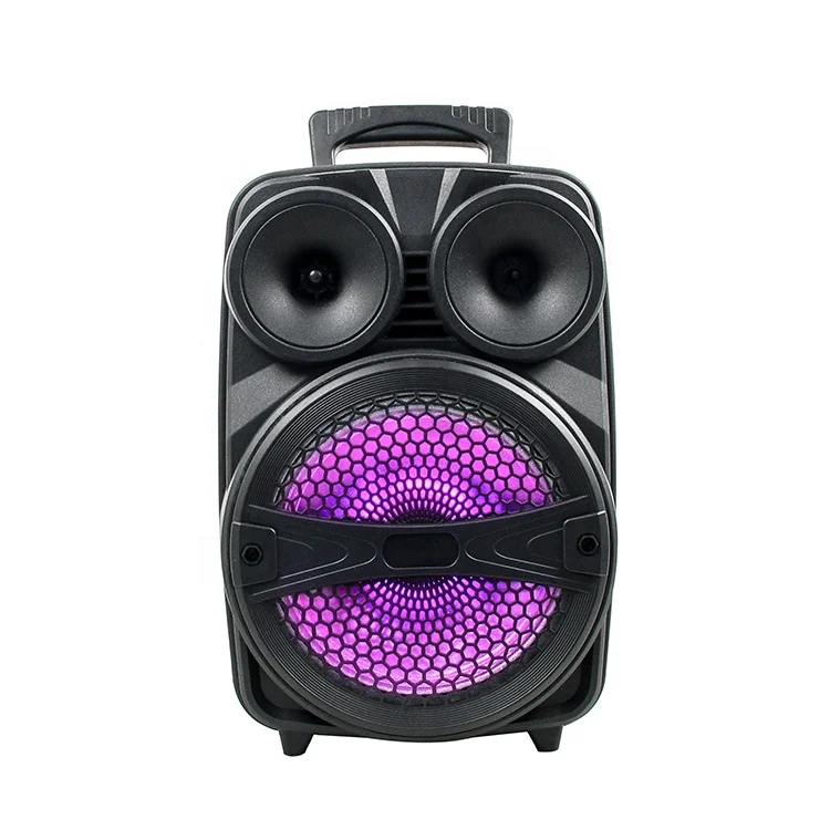 

Rechargeable wireless microphone karaoke bt speaker amplified sound box with usb