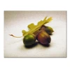 New Aluminum Panel Photo Printing Artwork Pine Cones Paintings