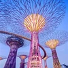 Steel manufacturers selling artificial botanical garden decorative outdoor landscape architecture landscape trees