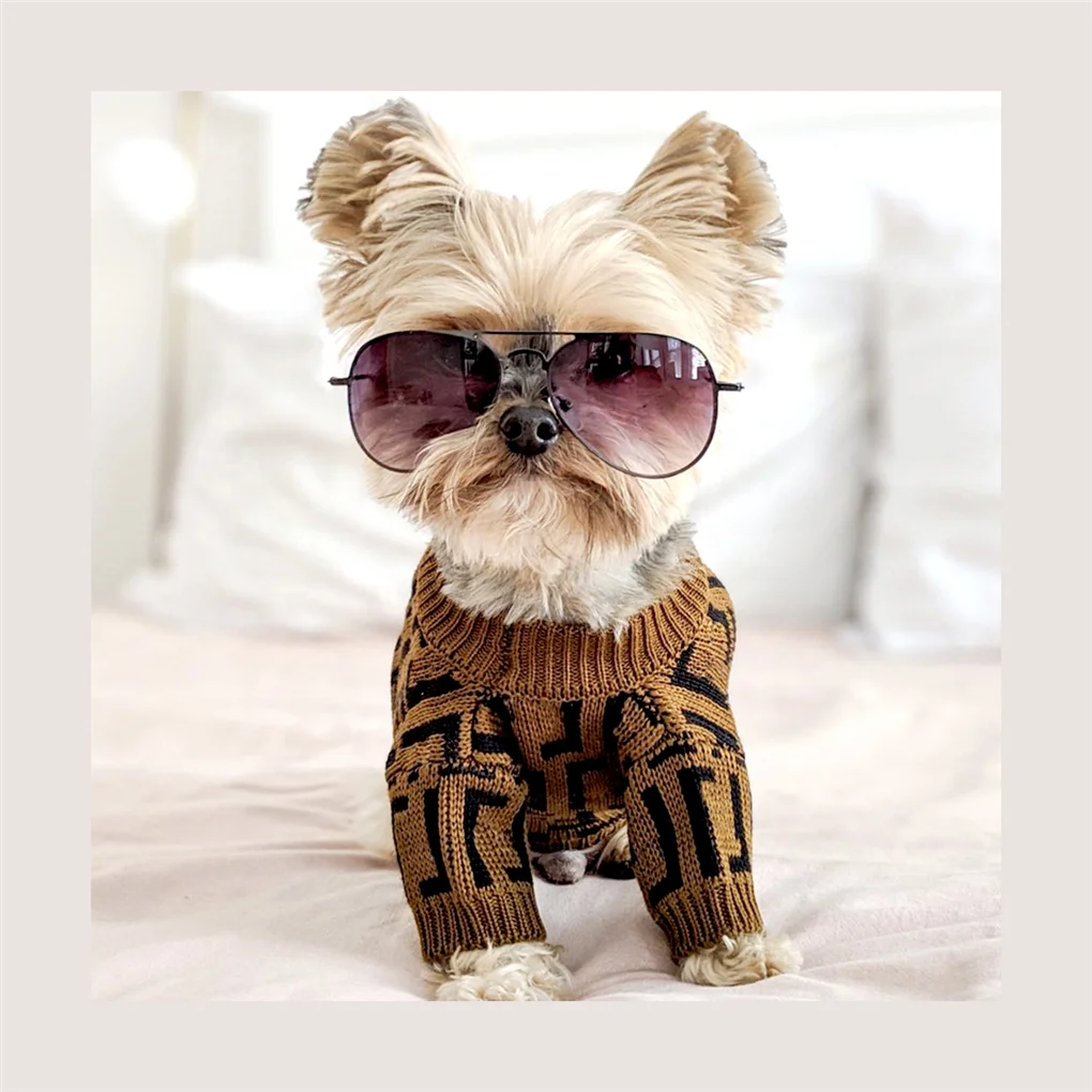 

Fashion Pet Dog Sweater Fashion Dog Clothes High Quality Classical Designer Super Soft for Small Medium Dogs Puppy Outfit Coat