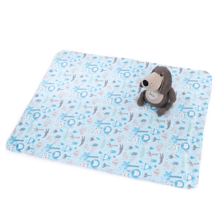 
2019 Amazon Hot Sale New Design Double Sided Different Pattern 2-Ply Babies Milestone Super Soft Fleece Baby Blanket 