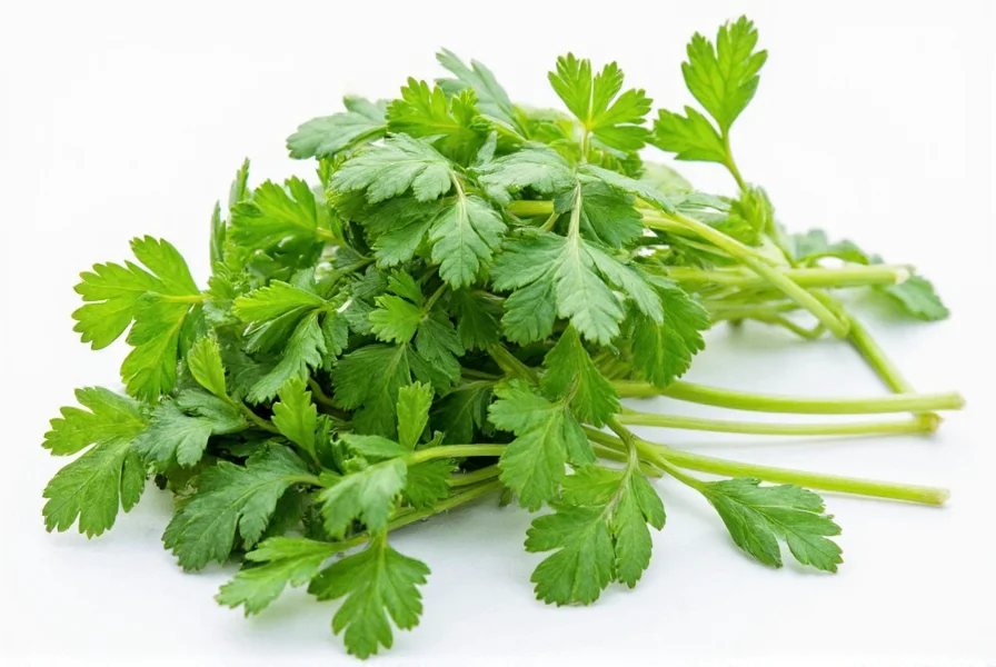 Close-up comparison of dried parsley flakes next to fresh parsley sprigs showing texture differences