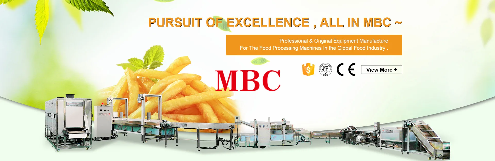 potato french fries production line .jpg