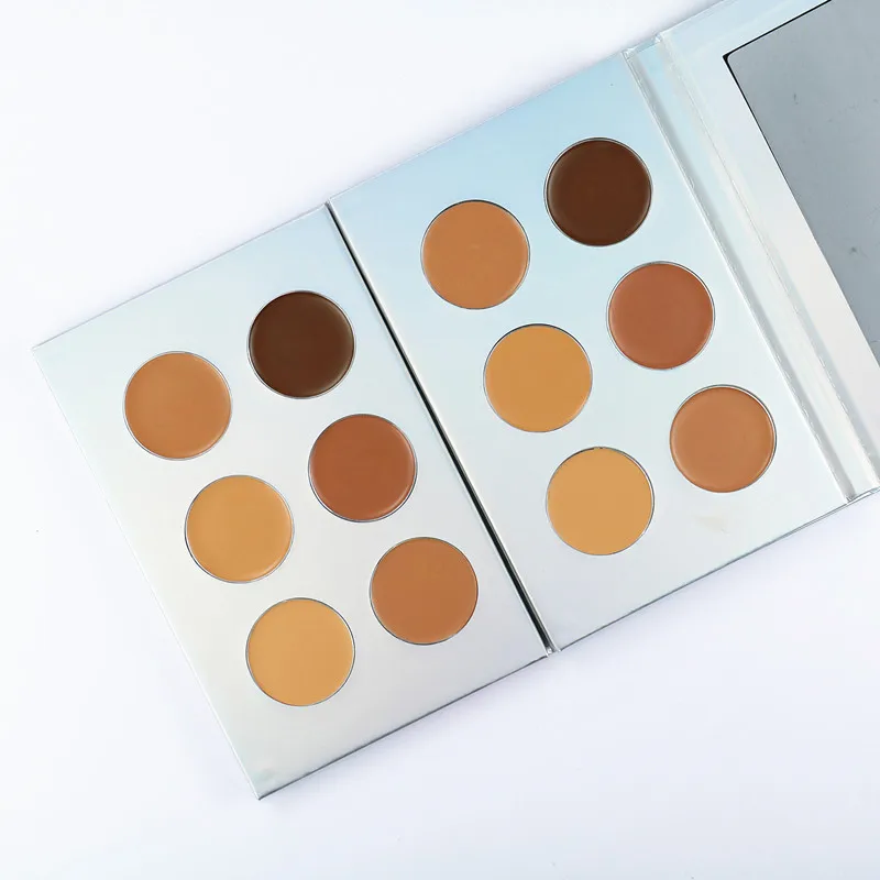 

High quality 6 colors cream concealer face contour foundation makeup palette