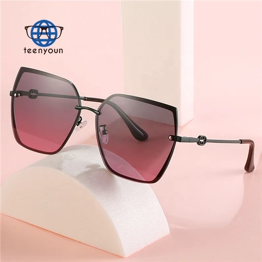 

Teenyoun Hot Sale Fashion Classic Color Film Metal Sunglasses 2023 New Cat Eye Irregular Big Frame Polarized Polygon