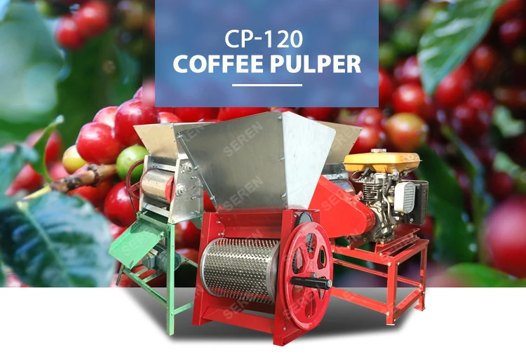 Factory Price Manual Small Coffee Bean Pulper Buy Coffee Bean Pulper