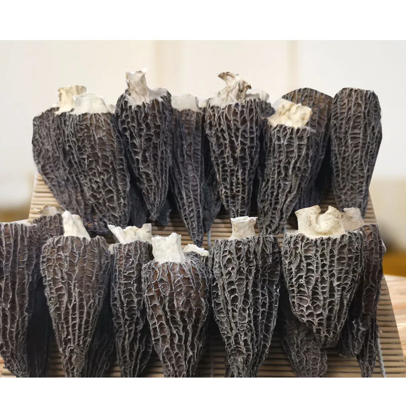 
price of whole fried wild mushroom morchella 