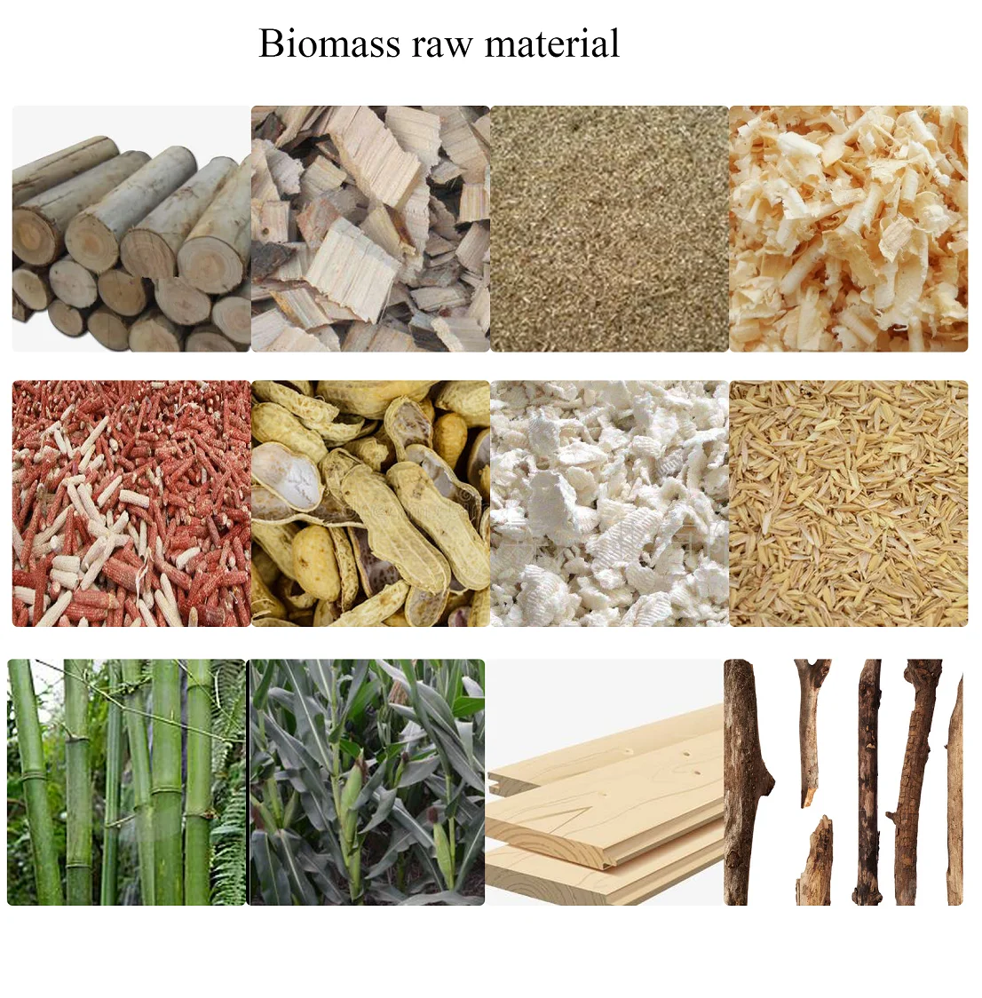 biomass raw material