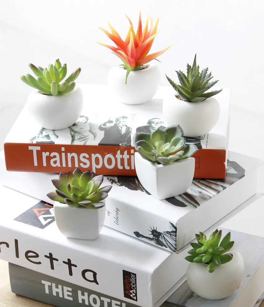 

Cute Plastic Plante Artificielle Plantas De Pared Cactu Y Suculentas Variegated Succulent Plant Mini Faux Artificial Plant Pot, Customizable