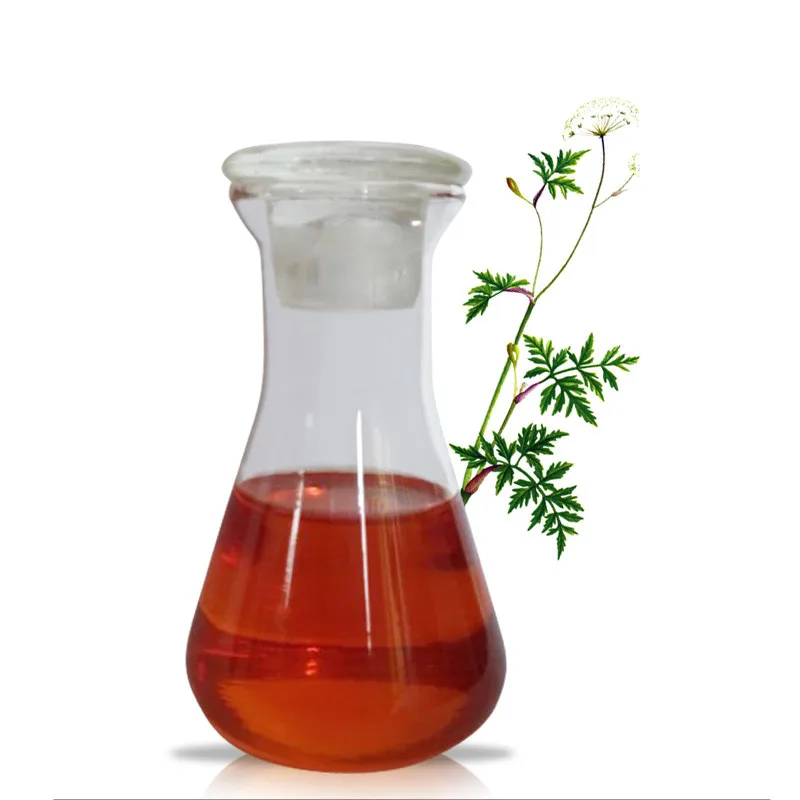 

100% Pure Top Grade Ligusticum Wallichii Oil