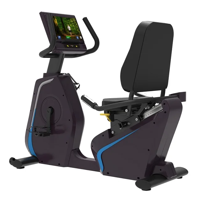 

Recumbent bike TZ-2020 indoor gym bike/exercise machine, Black