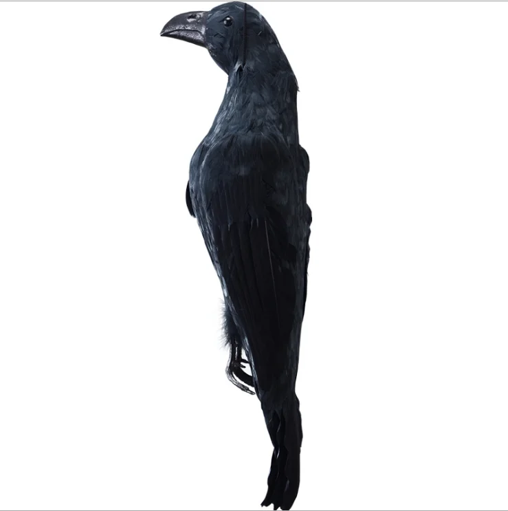 

Halloween decoration real feather birds animal forest tree dead crow hunting decoy hanging decor crow