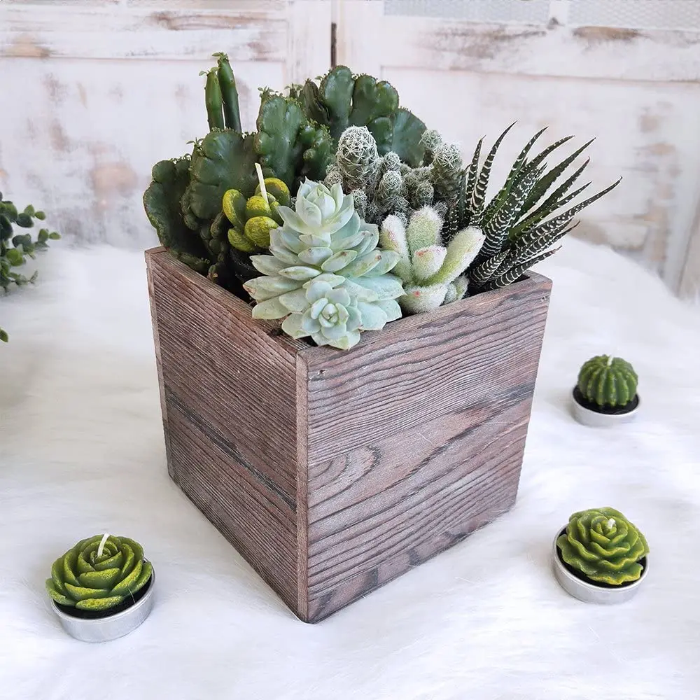 乡村风格的木质花盆展示盒,装饰存储板条箱,复古风格的花花盆