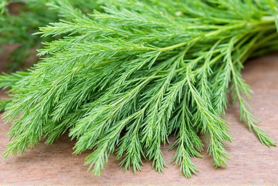 dill or no dill 10 savory substitutes for fresh dill you need to try