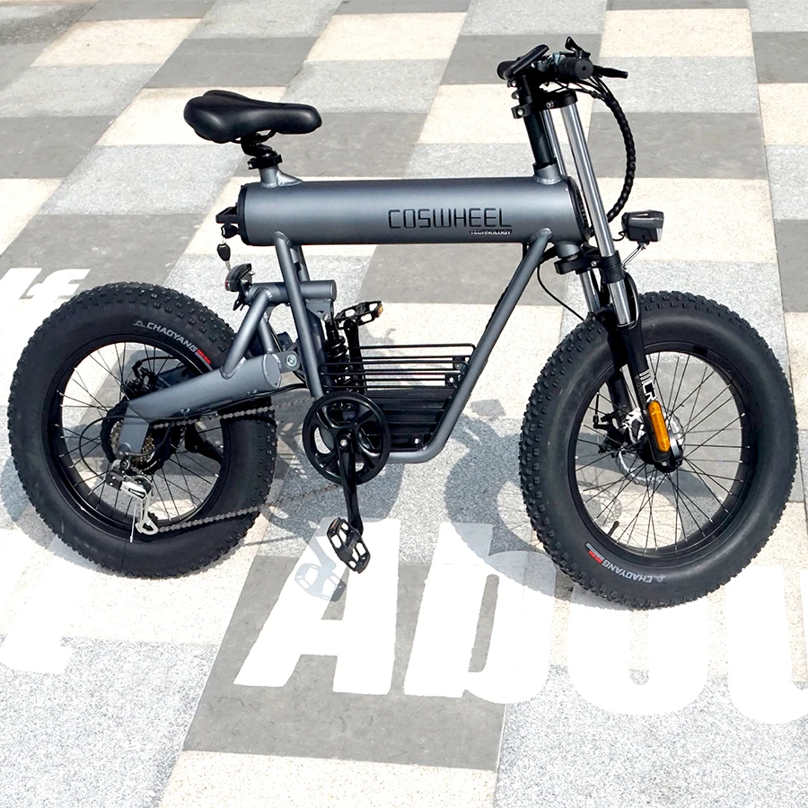 

COSWHEEL Custom OEM Foot Brake Men Beach Cruiser Bike Beach Cruiser Bicycle 20 Inch