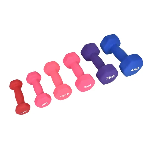 

Sports Direct Home Environmental Wholesale Piece Dumbbells, Blue