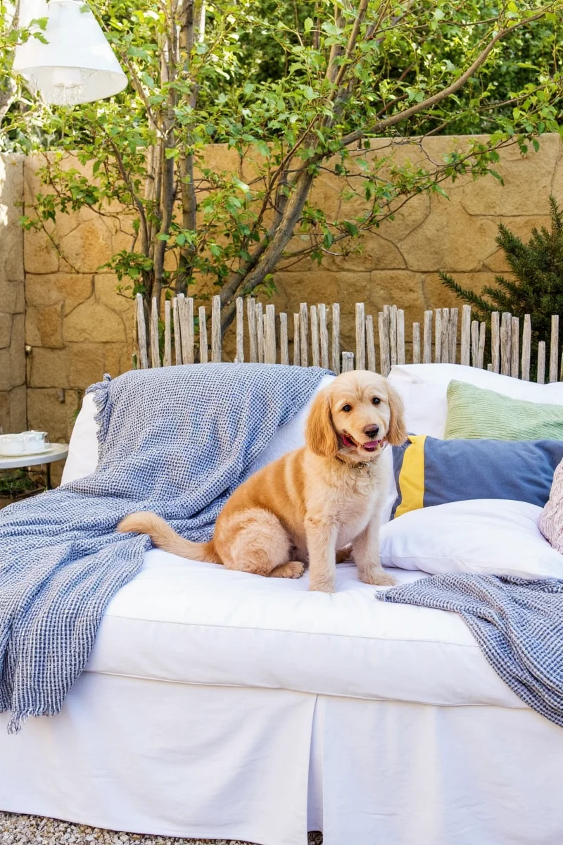 paws pillows how to design the ultimate outdoor bedroom for you and your pet
