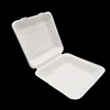 biodegradable compostable bagasse hinged white 9 inch sugarcane bagasse clamshell