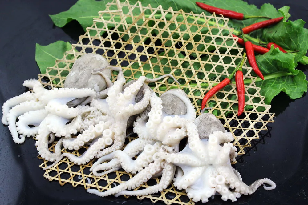 
High quality whole round frozen baby octopus fresh seafood 
