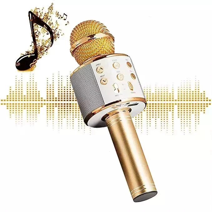 microphone-9.jpg