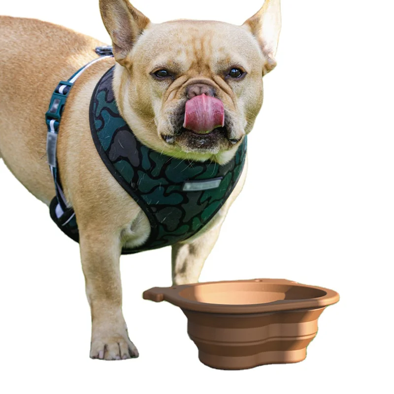 

2021 New 350ml Travel Camping Hiking Walking Dog Dish Bowl Collapsible Dog Bowl Portable Dog Travel Cup PetTravel
