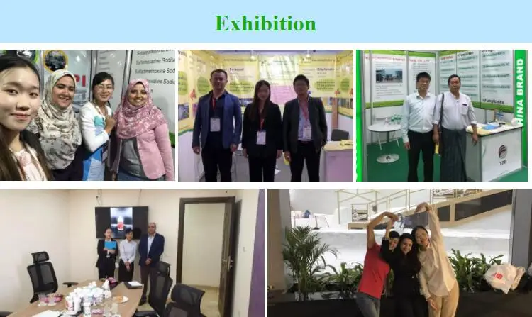 Pharmaceutical Grade Curcuma extract