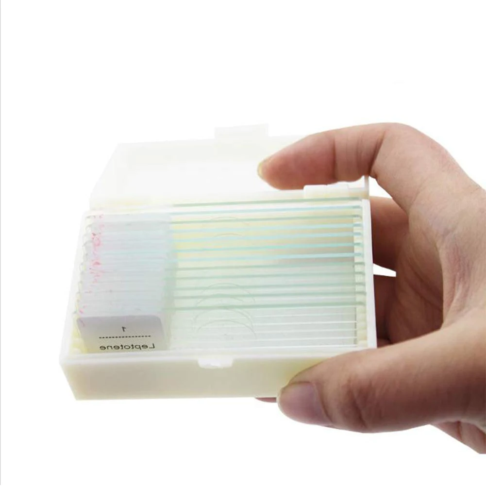 Boutique Meiosis Medical Research 12PCS Pre Prepared Microscope Slides
