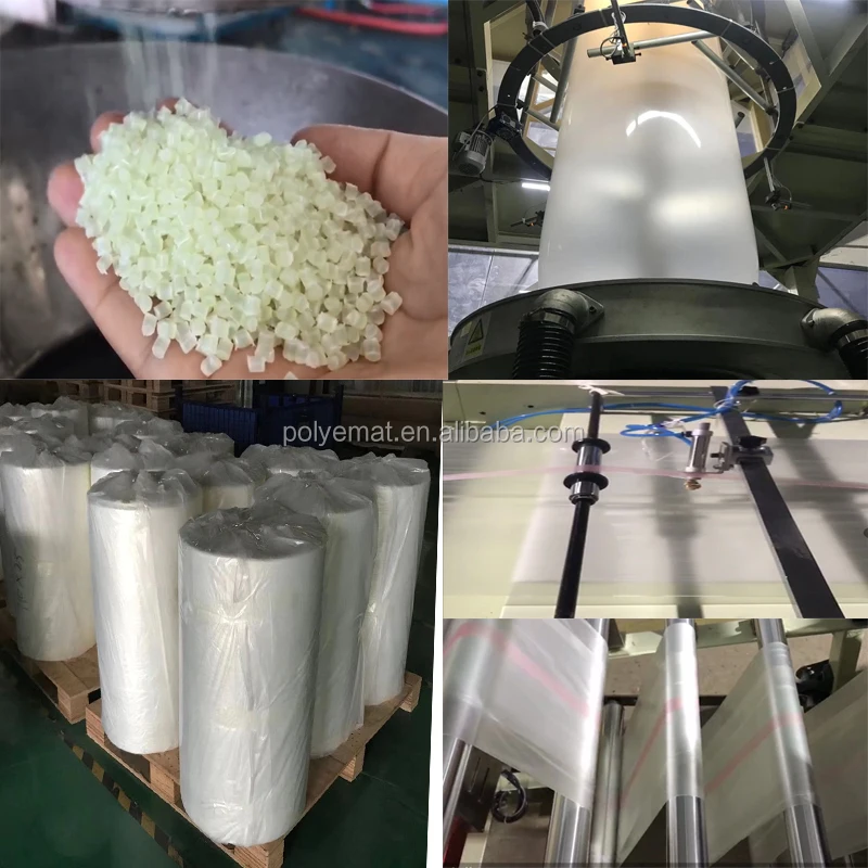 blow film.jpg