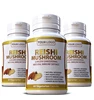 /product-detail/hot-sale-ganoderma-cordyceps-capsule-ganoderma-lucidum-spore-powder-capsule-62297131637.html