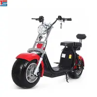 

2019 high quality GPS rent scooter of citycoco