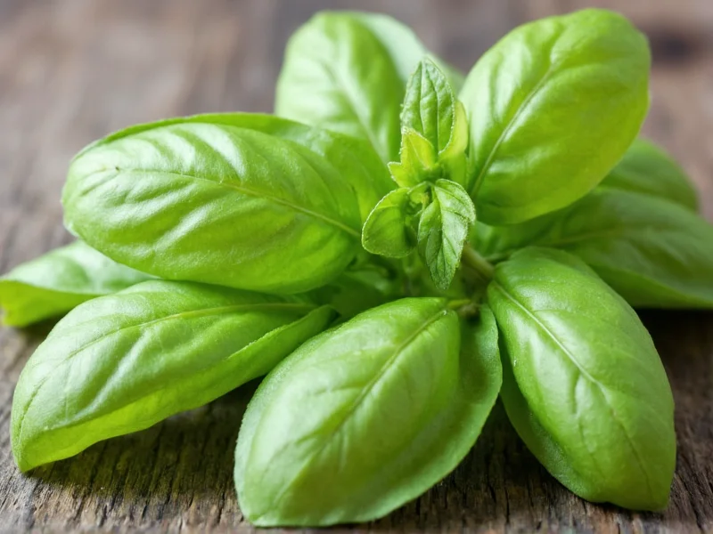 Fresh Basil to Dried Conversion: Exact Ratio & Best Practices
