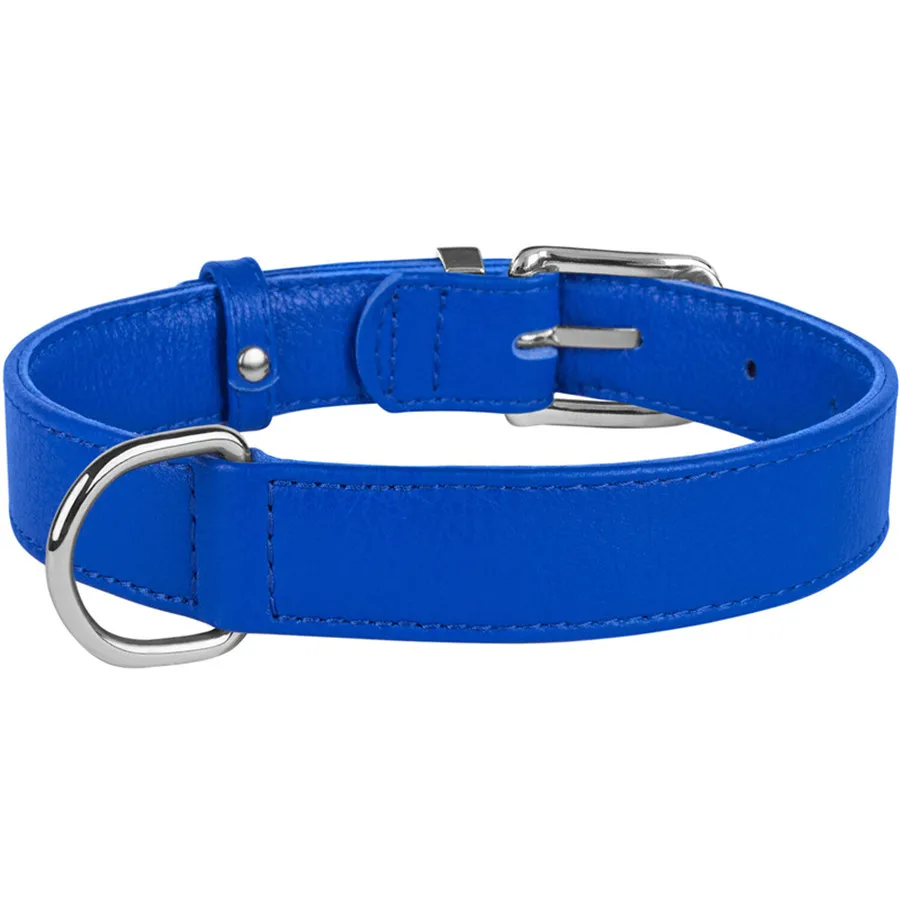 advanced dog training collar