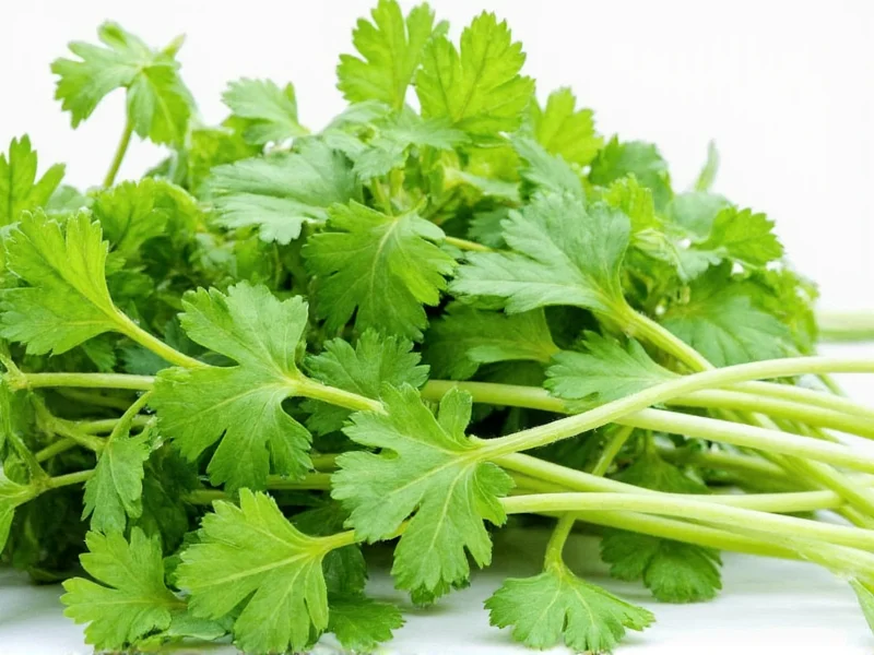 Best Substitutes for Coriander: Practical Alternatives