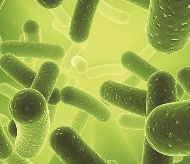 
Microbial flooding agent 