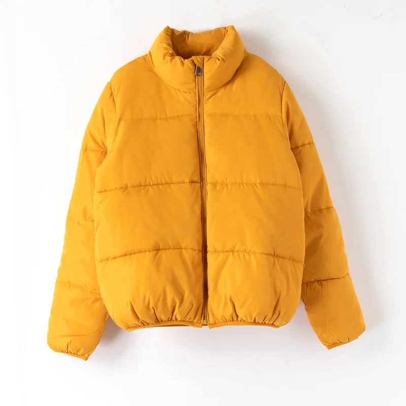 

2020 New Arrivals stand collar women ladies long sleeve short coat