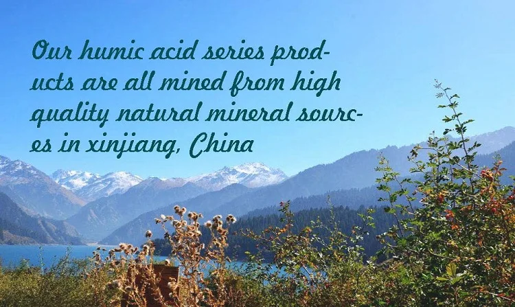 potassium humate(5).jpg