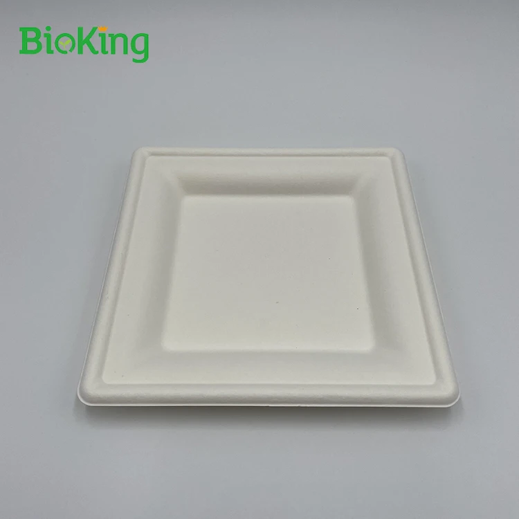 

BioKing sugarcane bagasse pulp biodegradable and compostable disposable square plates with international quality standard, Bleached;natural