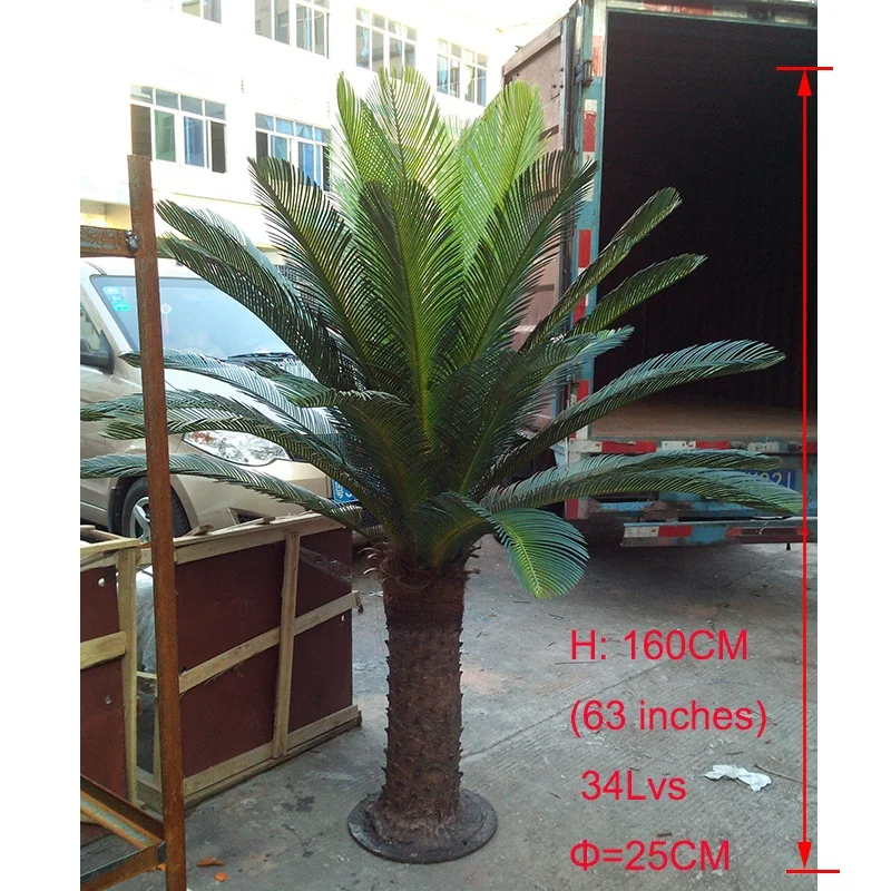 160cm 63 Inches Height With 34pcs Leaves Artificial Fiberglass Sago Cycas Revoluta Plant Palm Tree Cycas Tree Artificial Buy Artificial Cycas Revoluta Sago Cycas Artificial Cycas Palm Tree Product On Alibaba Com