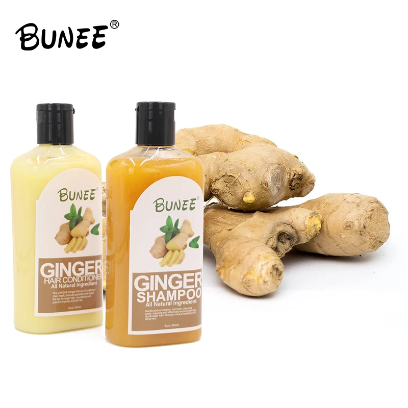 

250ml Custom Label Ginger Anti -dandruff anti-off repair organic hair growth shampoo