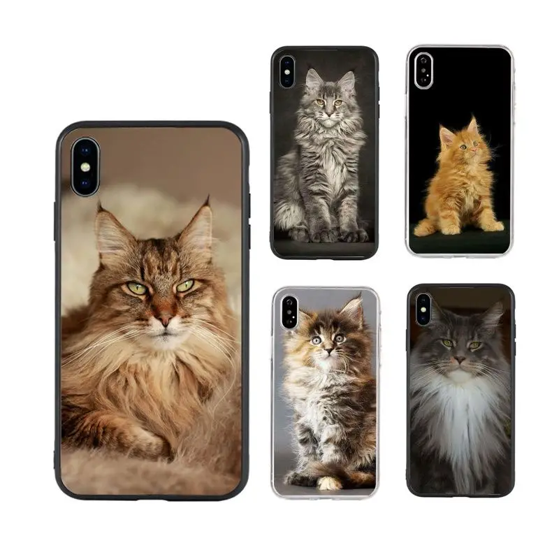 

pet maine coon cat hot selling cute art animal Phone Case for iPhone X XR Xs Max 11 11Pro 11ProMax 12 12pro luxury fundas, Black/transparent