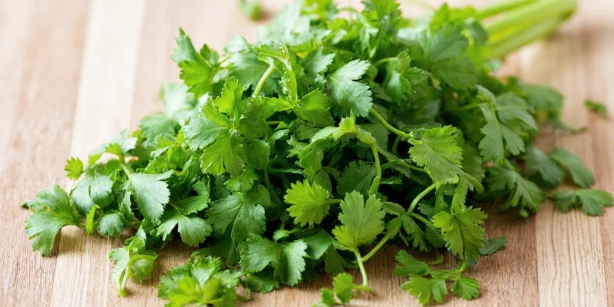 Dry Cilantro Demystified: 10 Tricks to Spice Up Your Kitchen (Without the Drama)