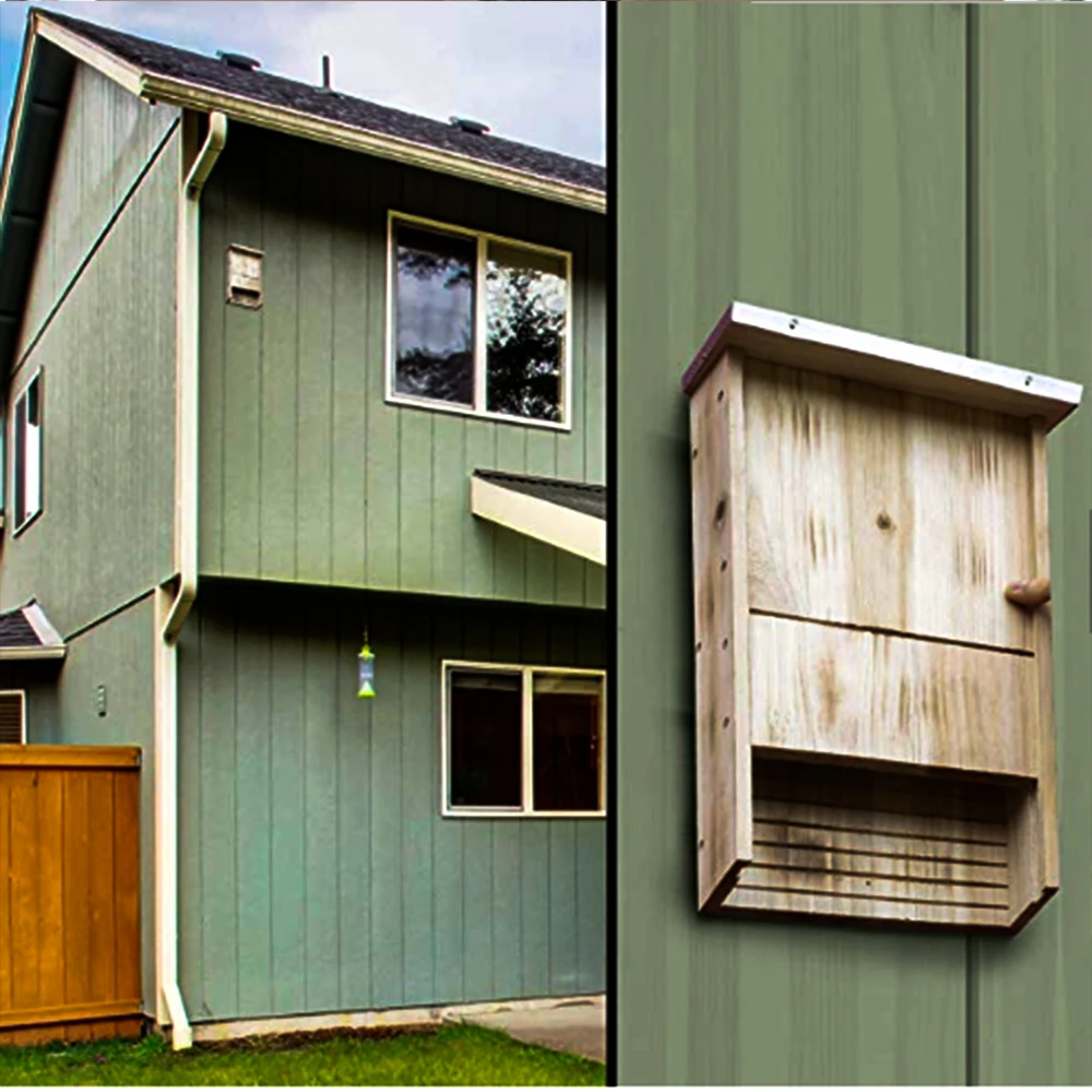 定制尺寸和徽标实木户外木制蝙蝠巢宠物屋木制工艺品蝙蝠屋 - buy